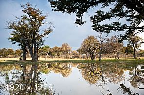okavango delta #2