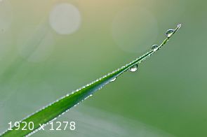 a green cut