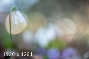 imagine a painted spring