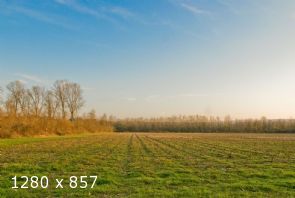 ... presso la Piave