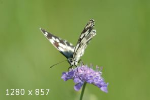 un instante, un incontro #2