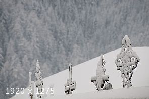 il silenzio ...