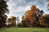 autumn @ Pal�
