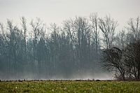 the breath of earth