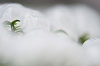 life in ice #2