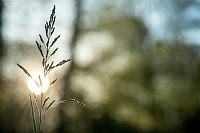 a ray of sun