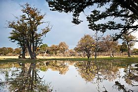 okavango delta #2
