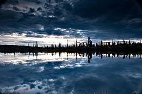 reflected word #5