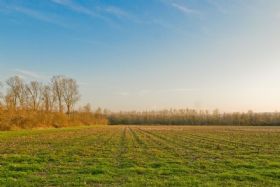 ... presso la Piave