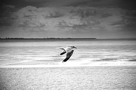 atmosfere dal Mare del Nord #7
