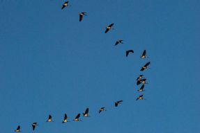 verso un appuntamento