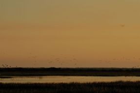 life over the billabong #2