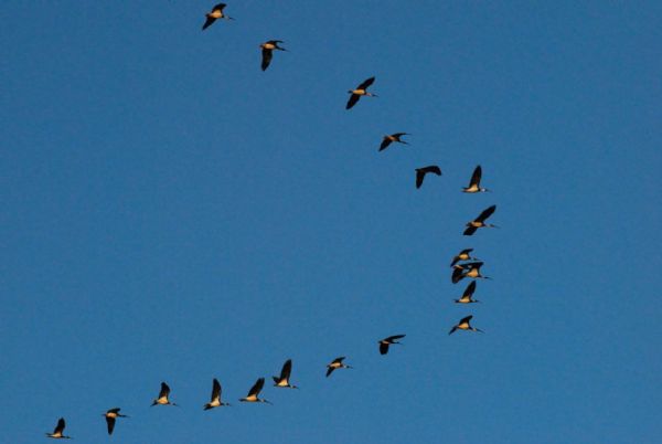 verso un appuntamento