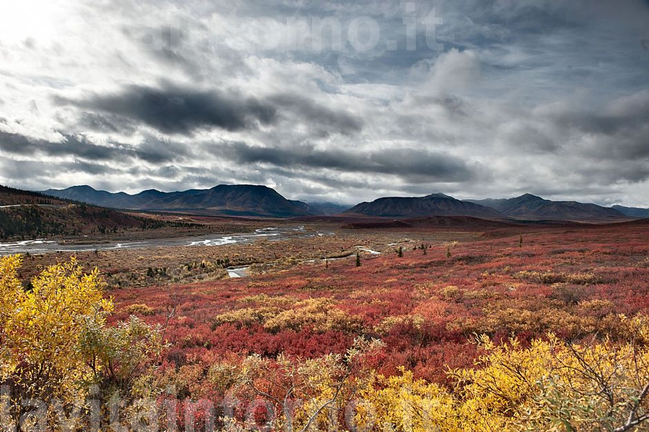 Denali NP #3