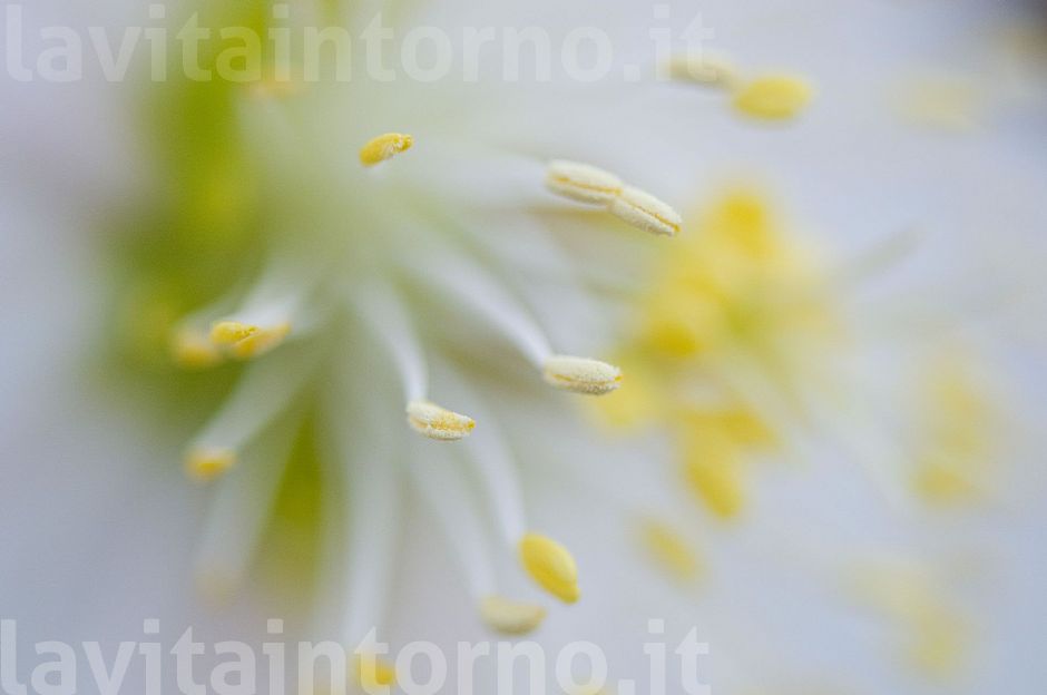 colori nascosti
