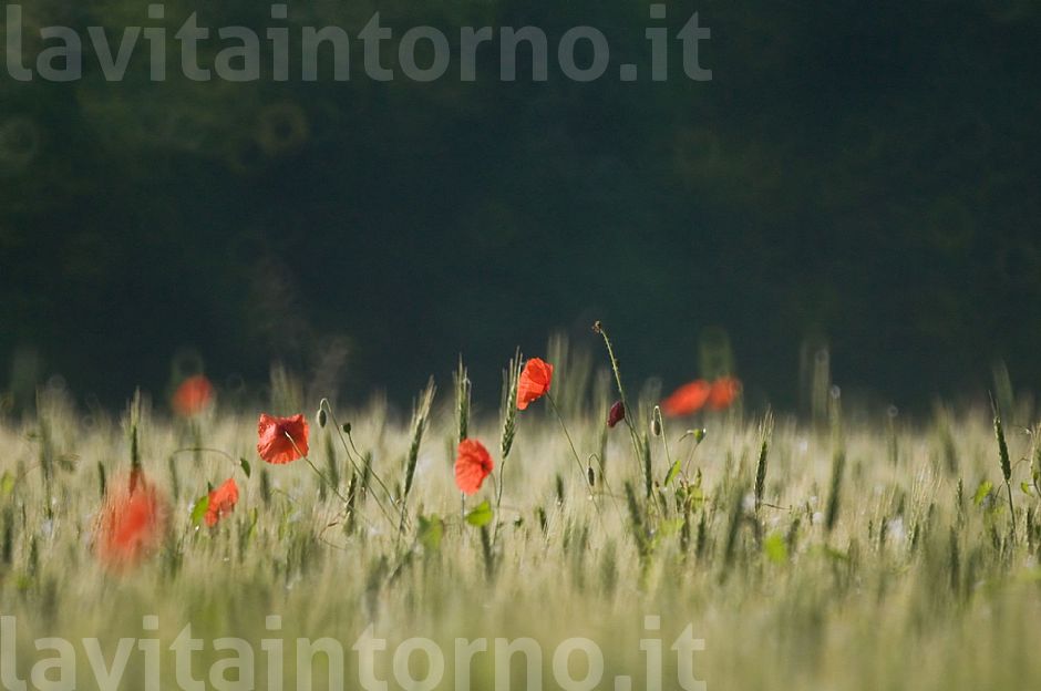 emersione #2