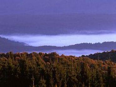 AUTORE: Luigi Dorigo - Ali e Radici Multivisioni AUTORE: Luigi Dorigo - Ali e Radici Multivisioni