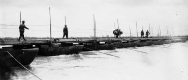 AUTORE: Luigi Dorigo - Ali e Radici Multivisioni AUTORE: Luigi Dorigo - Ali e Radici Multivisioni