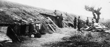 AUTORE: Luigi Dorigo - Ali e Radici Multivisioni AUTORE: Luigi Dorigo - Ali e Radici Multivisioni