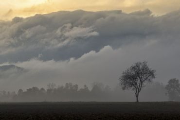 AUTORE: Breda Gianangelo AUTORE: Breda Gianangelo