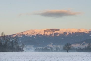 AUTORE: Breda Gianangelo AUTORE: Breda Gianangelo