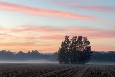 AUTORE: Breda Gianangelo AUTORE: Breda Gianangelo