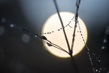 AUTORE: Breda Gianangelo AUTORE: Breda Gianangelo