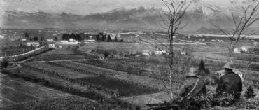 AUTORE: Luigi Dorigo AUTORE: Luigi Dorigo /