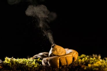 AUTORE: Valter Binotto AUTORE: Valter Binotto /