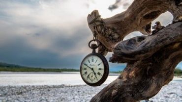 AUTORE: Giuseppe Fedato - Ali e Radici Multivisioni AUTORE: Giuseppe Fedato - Ali e Radici Multivisioni