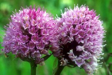 AUTORE: 360° Multivisioni AUTORE: 360° Multivisioni