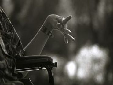 AUTORE: Luigi Dorigo - Ali e Radici Multivisioni AUTORE: Luigi Dorigo - Ali e Radici Multivisioni