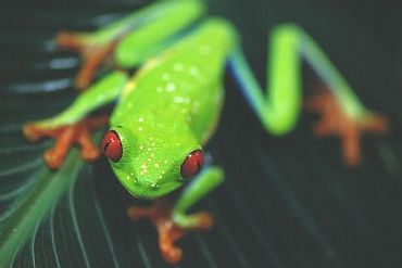 AUTORE: IdeaMultivisioni AUTORE: IdeaMultivisioni /