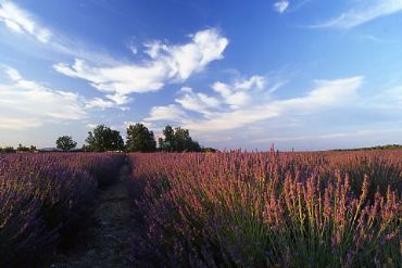 AUTORE: Valter Binotto AUTORE: Valter Binotto