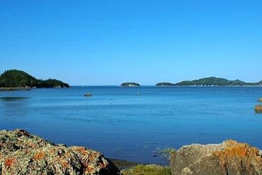 AUTORE: Luigi Dorigo - Ali e Radici Multivisioni AUTORE: Luigi Dorigo - Ali e Radici Multivisioni