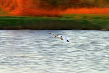 AUTORE: Sergio Vaccher AUTORE: Sergio Vaccher