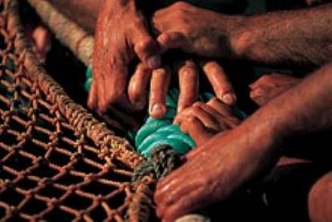 AUTORE: D.Drago - F.Lopergolo AUTORE: D.Drago - F.Lopergolo /