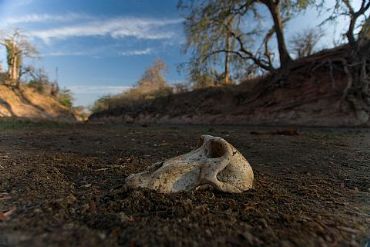 AUTORE: Merlino Multivisioni AUTORE: Merlino Multivisioni