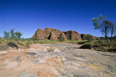 AUTORE: Luigi Dorigo - Ali e Radici Multivisioni AUTORE: Luigi Dorigo - Ali e Radici Multivisioni