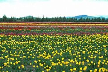 AUTORE: 360° Multivisioni AUTORE: 360° Multivisioni