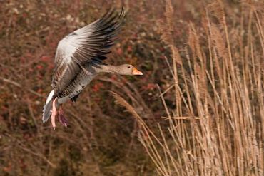 AUTORE: Valter Binotto AUTORE: Valter Binotto