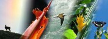 AUTORE: Immaginare Multivisioni AUTORE: Immaginare Multivisioni /