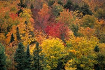 AUTORE: Merlino Multivisioni AUTORE: Merlino Multivisioni /