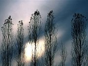 AUTORE: Carlo De Agnoi AUTORE: Carlo De Agnoi /