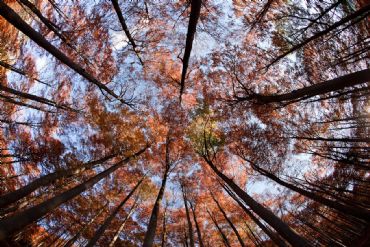 AUTORE: Roberto Valenti AUTORE: Roberto Valenti