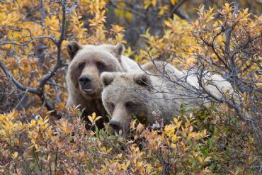 AUTORE: Roberto Valenti AUTORE: Roberto Valenti