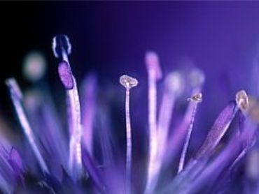 AUTORE: Carlo De Agnoi AUTORE: Carlo De Agnoi /