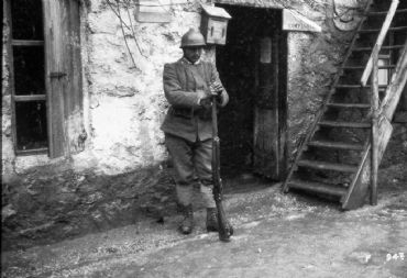 AUTORE: Luigi Dorigo - Ali e Radici Multivisioni AUTORE: Luigi Dorigo - Ali e Radici Multivisioni /