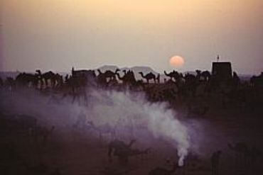 AUTORE: Luciano Vettorato AUTORE: Luciano Vettorato