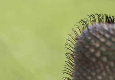 AUTORE: Immaginare Multivisioni AUTORE: Immaginare Multivisioni /